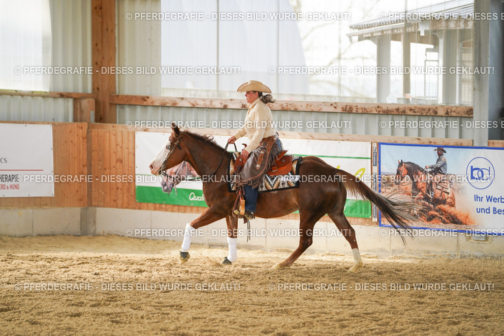 DSC06336 | Pferdegrafie