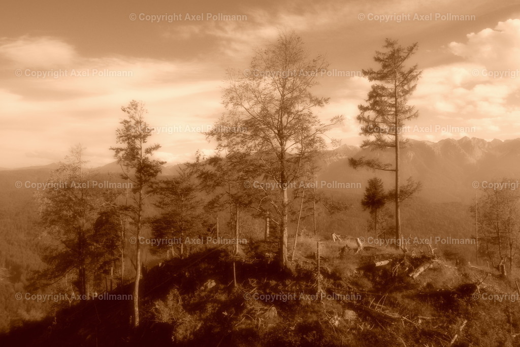 DSCN1292 | fotografiert von Axel PollmannLeonhardi Wallfahrt Benediktbeuern und Murnau, Fronleichnam, Fasching, Landschaft im Loisachtal und Benediktbeuern  - Realisiert mit Pictrs.com