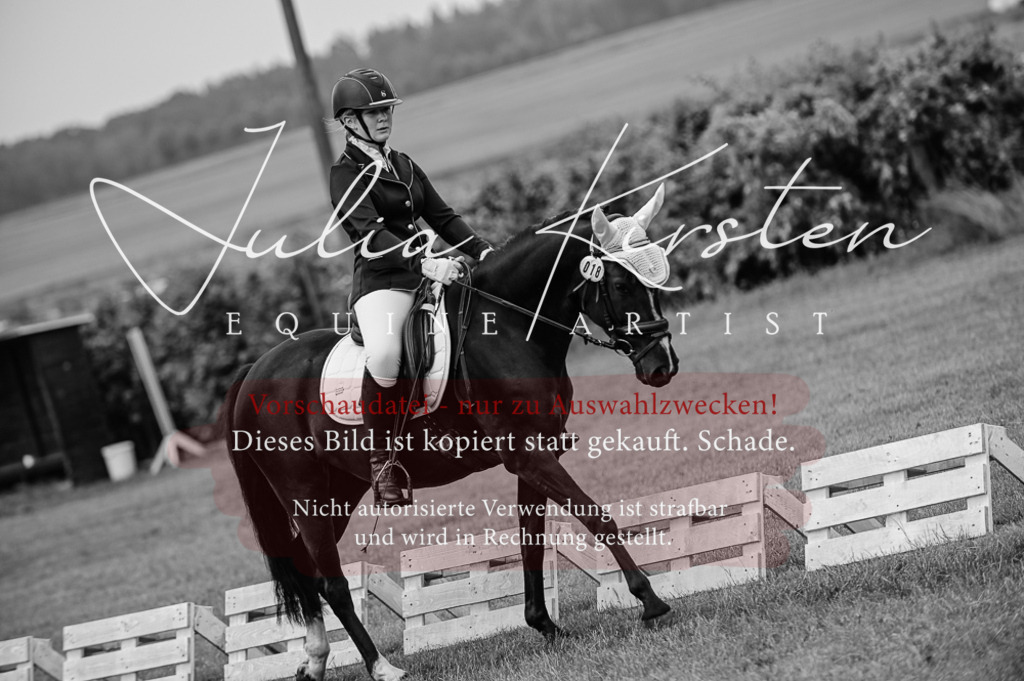 DSC_4793 | Pferde- und Turnierfotografie in Westsachsen. Pferdeportraits, Auftragszeichnungen und intuitive Kunst.