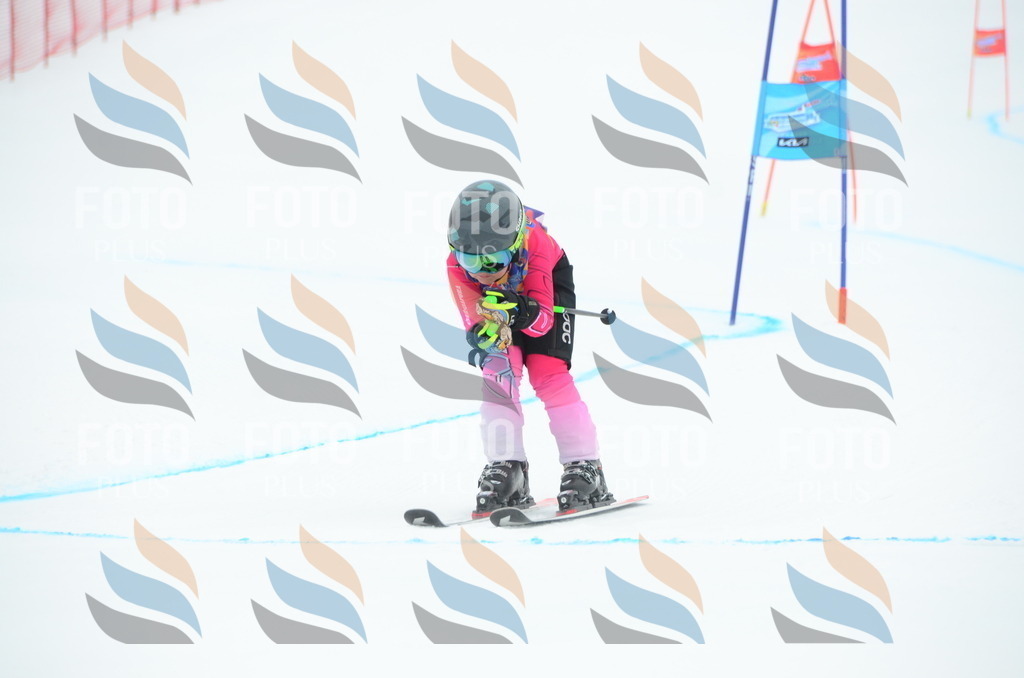 DSC_0659 | holidayphoto