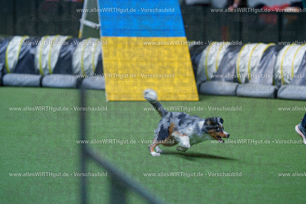 @allesWIRTHgut_Tierfotografie - www.allesWIRTHgut.de - 2604251443-7R505397 | Professionelle Tierfotografie in Mönchengladbach von Daniel Wirth (allesWIRTHgut). Liebevolle & natürliche Bilder von Hunden & Katzen für unvergessliche Erinnerungen.