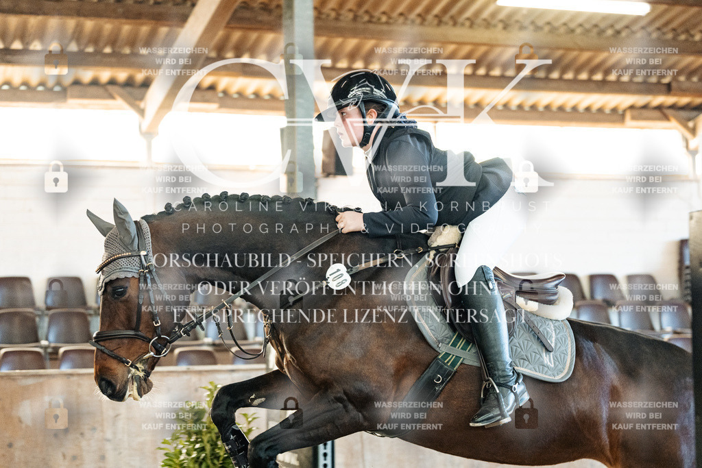 CK904013 | Turnierfotografie Pferdefotografie Trier Rheinland-Pfalz Pferdesport Reitsport Tierfotografie Sportfotografie Pferdevideo Pferdevideografie Equestrianvideography equestrianphotography  - Realisiert mit Pictrs.com