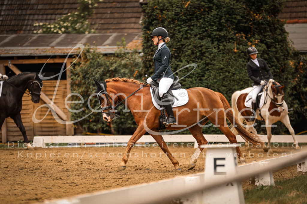 DoDrE00186 | Leoni Ertmer Photography - Realisiert mit Pictrs.com