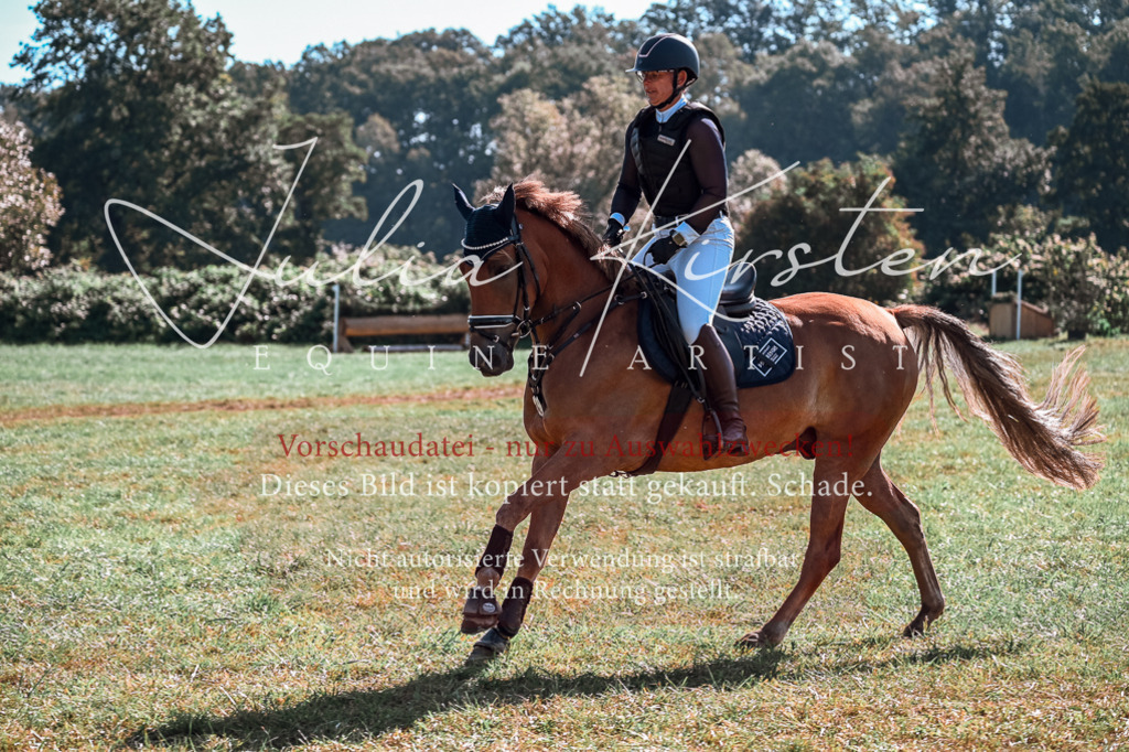 DSC_0784 | Pferde- und Turnierfotografie in Westsachsen. Pferdeportraits, Auftragszeichnungen und intuitive Kunst.
