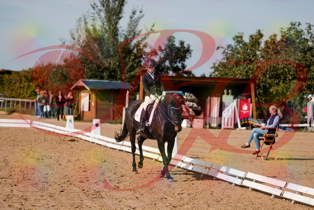 2026_10_03_Siefer-Hof_121708_Z63_40816337 | Professionelle Reitsport-, Turnier- und Eventfotografie von Robert Broda. Galerien mit ausgewählten und bearbeiteten Bildern direkt online ansehen und bestellen.