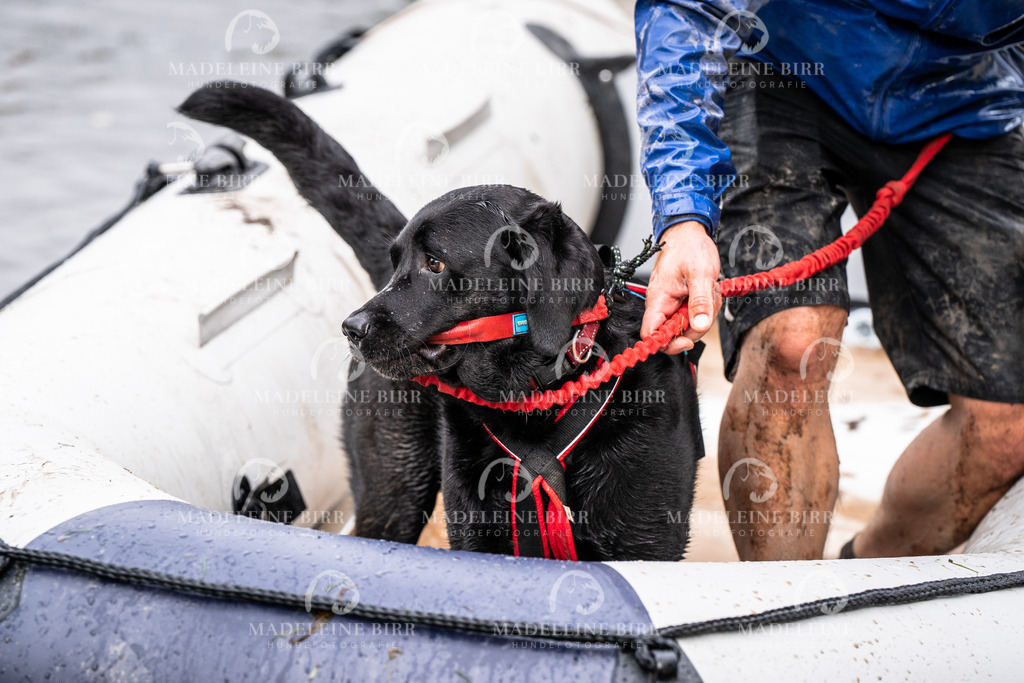madeleinebirr-fotografie2025.campcanis.11-12Uhr-67 | hundefotografie-birr