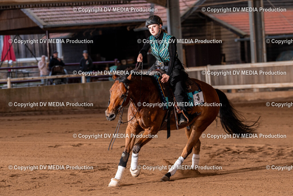 Erbach Tag 2-1247 | dv-media-shop - Realisiert mit Pictrs.com