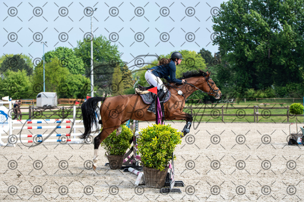 KPT_2570 | andre_photographic