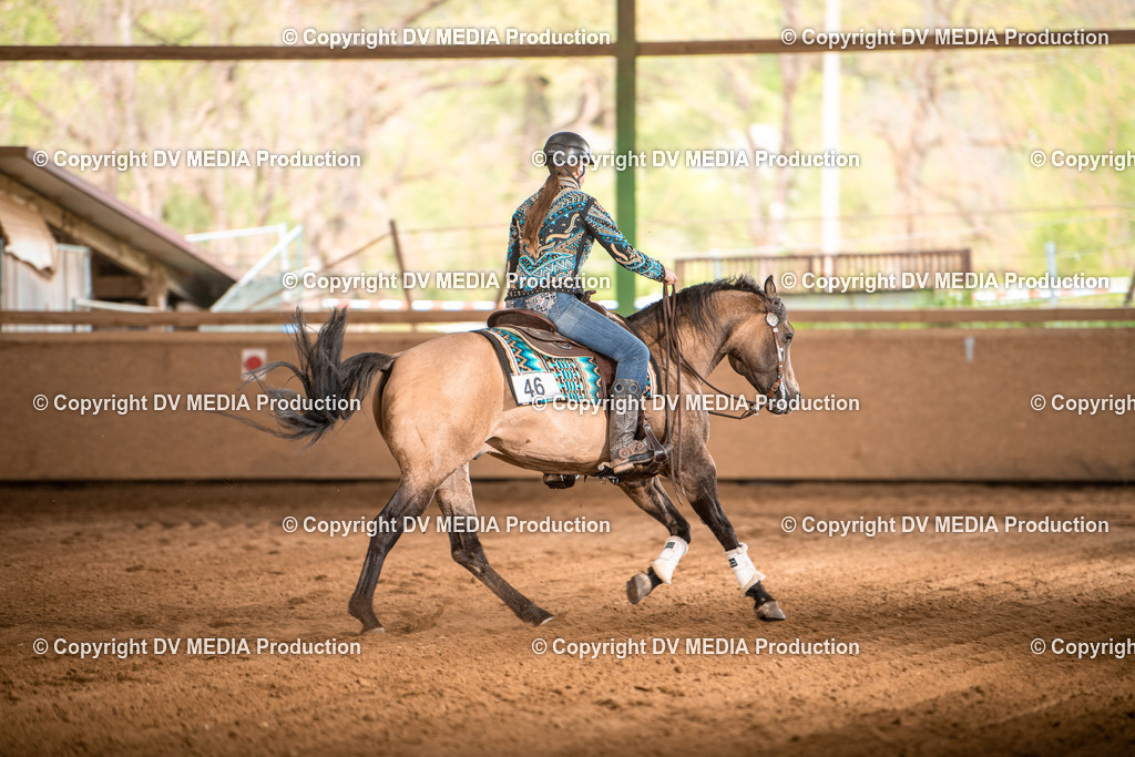 Balingen Tag 4-978 | dv-media-shop - Realisiert mit Pictrs.com