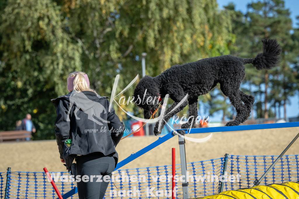 1146_ZZ91995-2 | kk-dogfotos