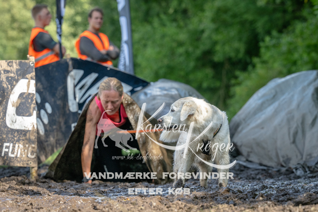 1552_ZZ91916 | kk-dogfotos