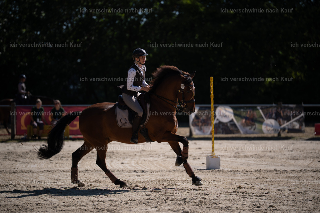 WL_SP_106_Stoibphotography_SO15858 | working equitationturnier fotograf videograf stoibphotography marixx film working equitation deutschland reitsport turnierfotografie eventfotografie equestrian events