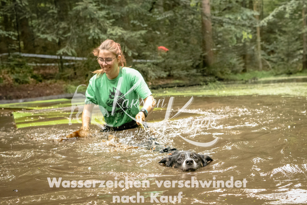 1411_ZZ91429-Bearbeitet | kk-dogfotos