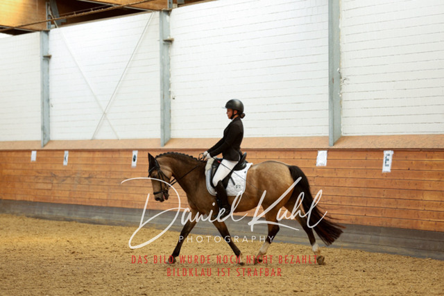 _62_6998 | Turniersportfotografie; Pferdefotografie; Dressurfotografie