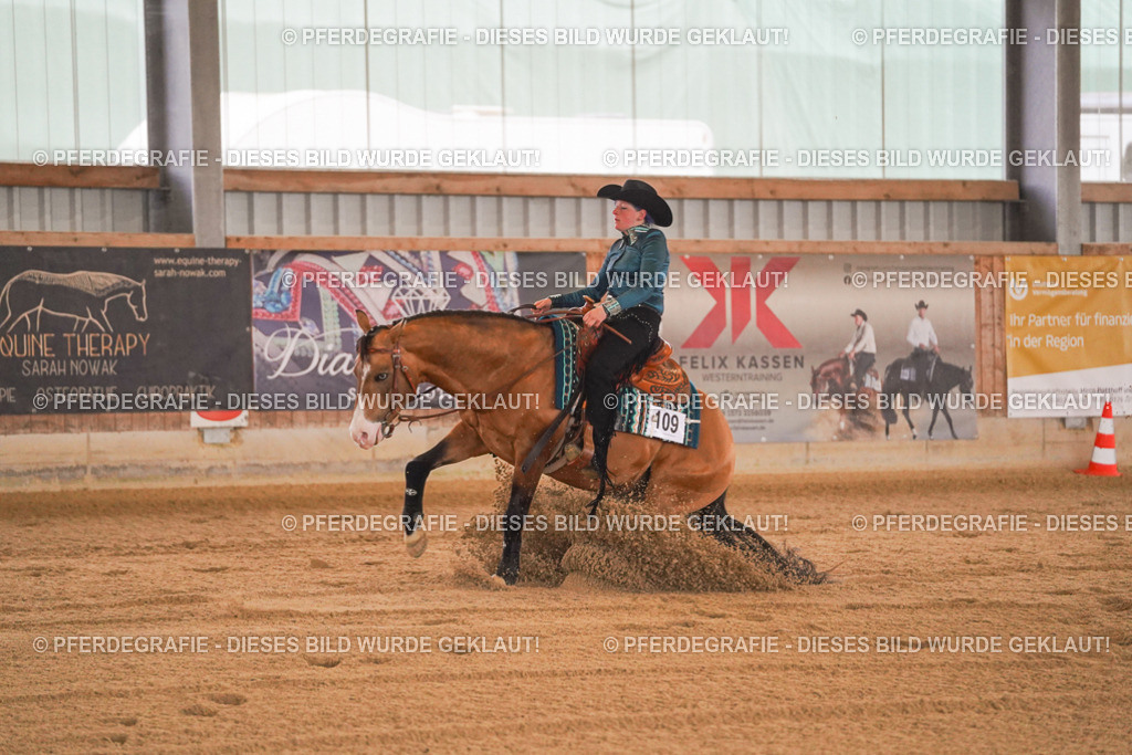 DSC09853 | Pferdegrafie