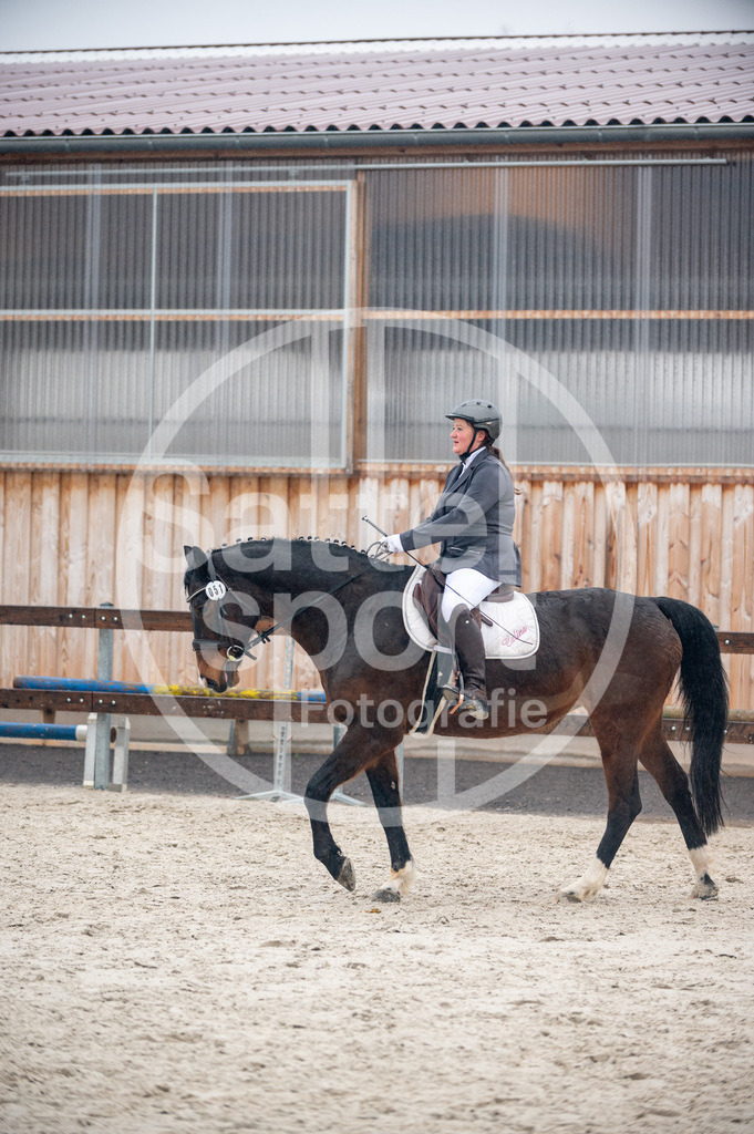 DSC_6077 | sattelsport - Realisiert mit Pictrs.com