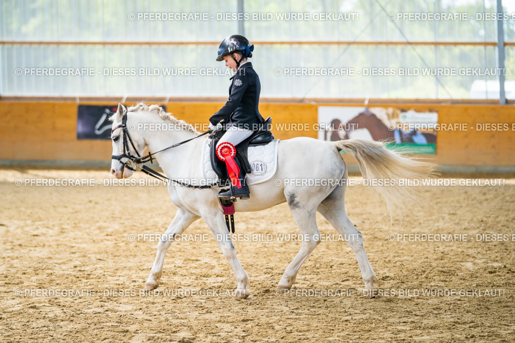 DSC01200 | Pferdegrafie