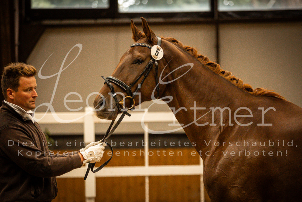 1FS_L00089 | Leoni Ertmer Photography - Realisiert mit Pictrs.com