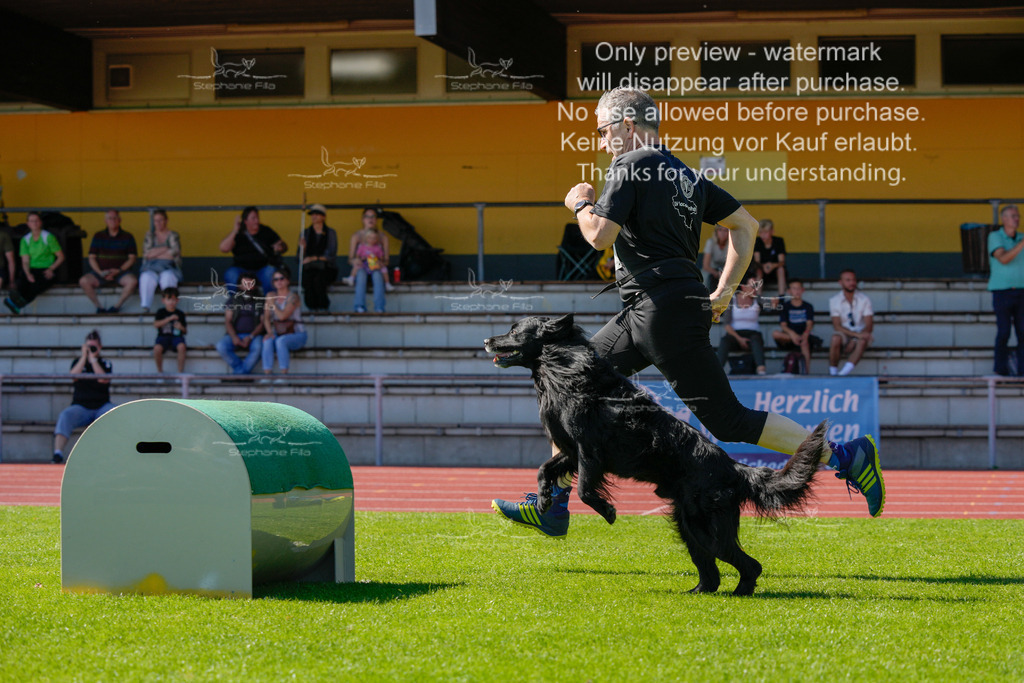 Sonntag_VK Hindernis (335 von 671) | stephaniefillaphotographie - Realisiert mit Pictrs.com