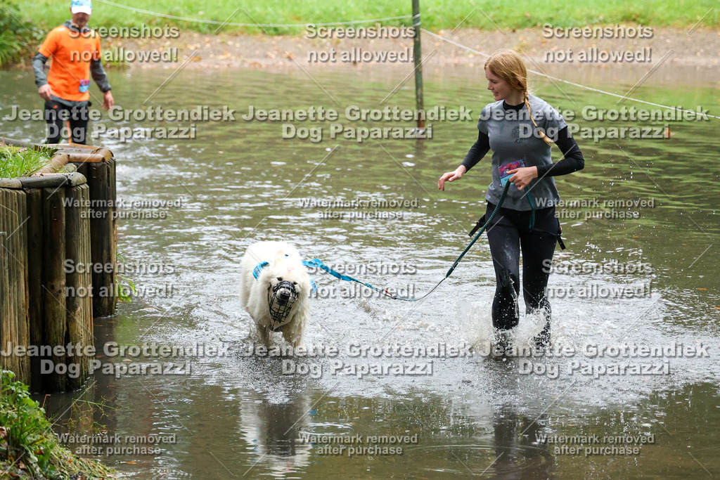 Dog Paparazzi -  SD1026-8186 | Dog Paparazzi Jeanette Grottendiek Fotografie & Videografie - Realisiert mit Pictrs.com