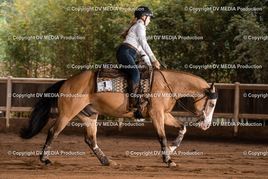 Erbach Tag 2-748 | dv-media-shop - Realisiert mit Pictrs.com