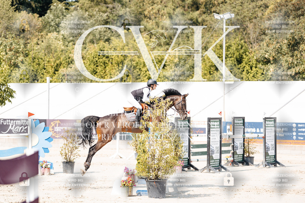 CK901494 | Turnierfotografie Pferdefotografie Trier Rheinland-Pfalz Pferdesport Reitsport Tierfotografie Sportfotografie Pferdevideo Pferdevideografie Equestrianvideography equestrianphotography  - Realisiert mit Pictrs.com
