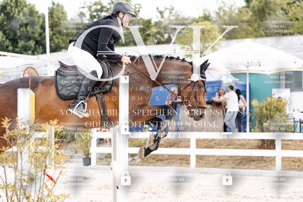 CK902238 | Turnierfotografie Pferdefotografie Trier Rheinland-Pfalz Pferdesport Reitsport Tierfotografie Sportfotografie Pferdevideo Pferdevideografie Equestrianvideography equestrianphotography  - Realisiert mit Pictrs.com