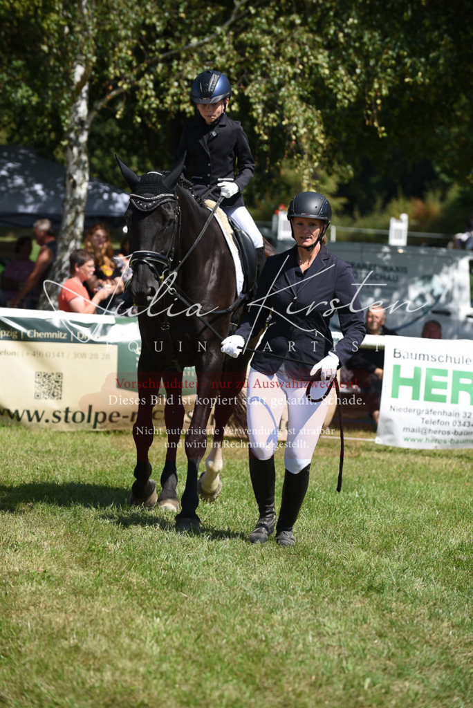 DSC_9772 | Pferde- und Turnierfotografie in Westsachsen. Pferdeportraits, Auftragszeichnungen und intuitive Kunst.
