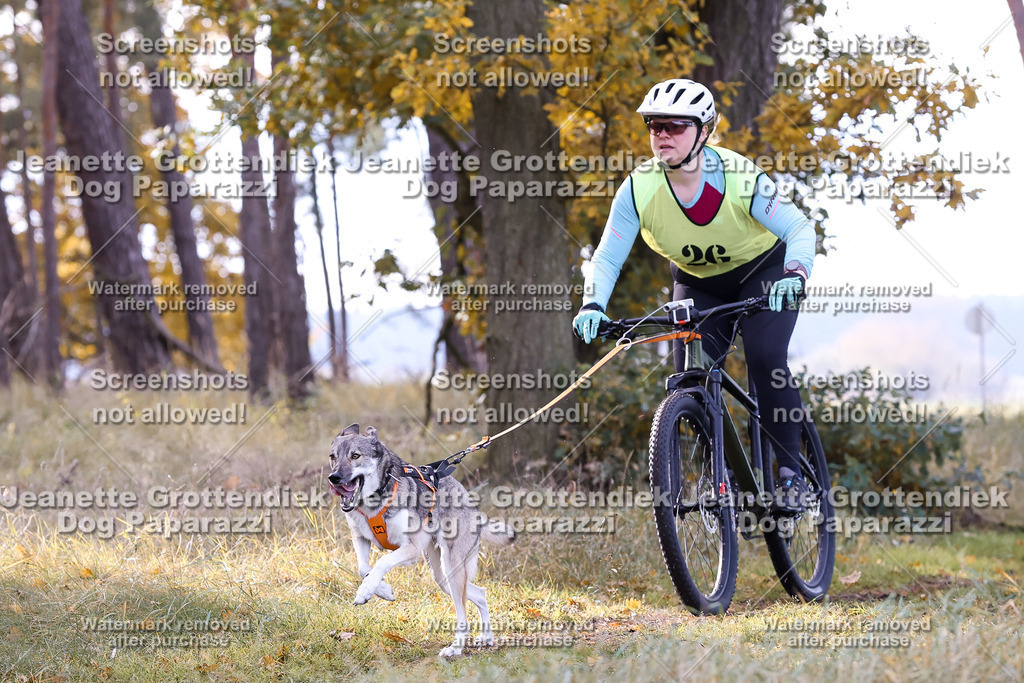 Dog Paparazzi - Elsholz 25 -119 | Dog Paparazzi Jeanette Grottendiek Fotografie & Videografie - Realisiert mit Pictrs.com