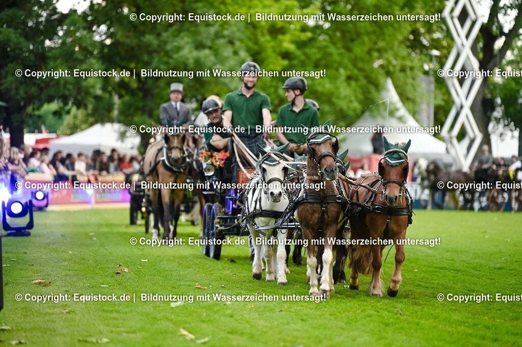 20250606_Lange-Pferdenacht_0216 | Foto: Thomas Hartig