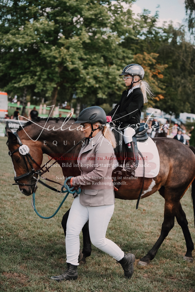 DSC_6058 | Pferde- und Turnierfotografie in Westsachsen. Pferdeportraits, Auftragszeichnungen und intuitive Kunst.