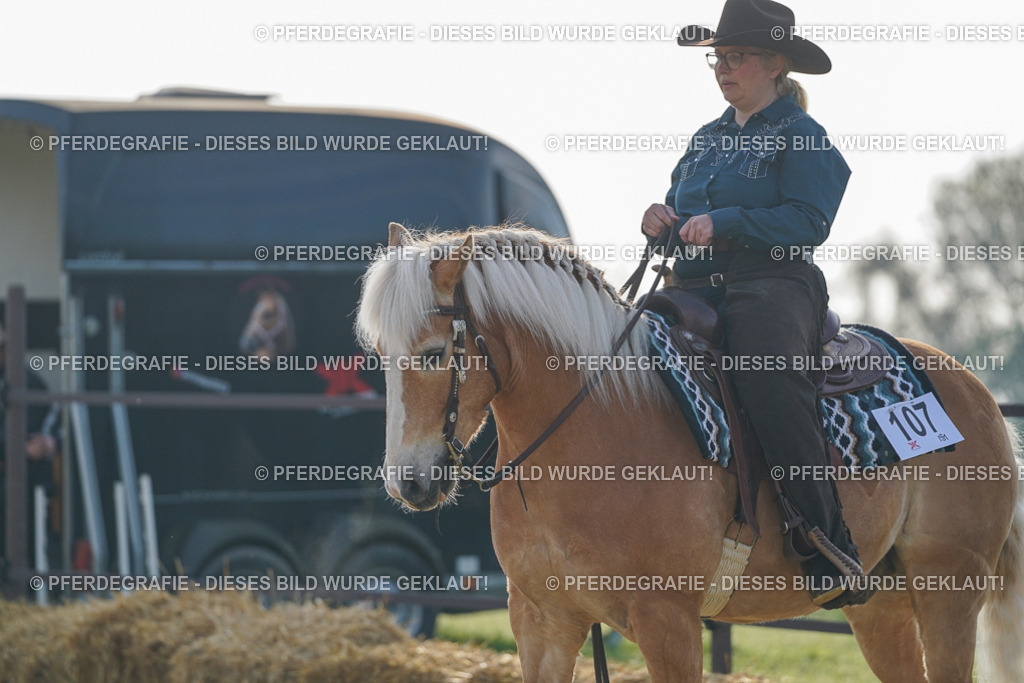 DSC00308 | Pferdegrafie