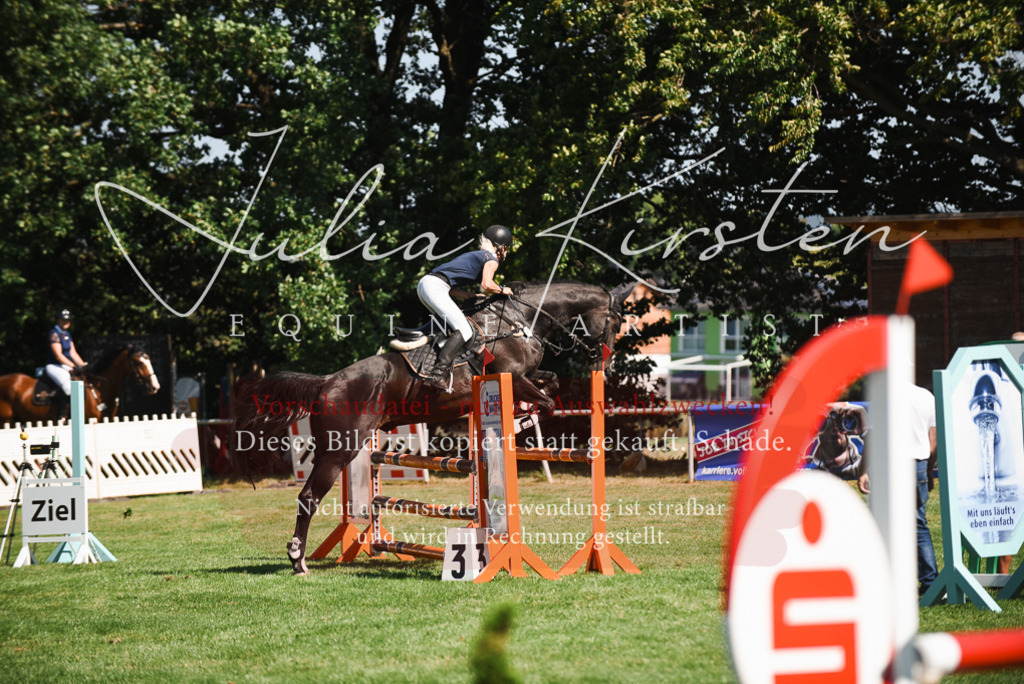 DSC_2776 | Pferde- und Turnierfotografie in Westsachsen. Pferdeportraits, Auftragszeichnungen und intuitive Kunst.
