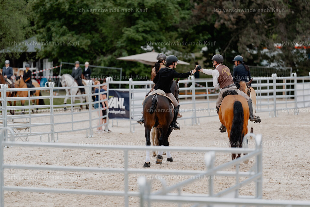 WE__Stoib_Rinder_PI2025_3091 | Pferd International München 2025