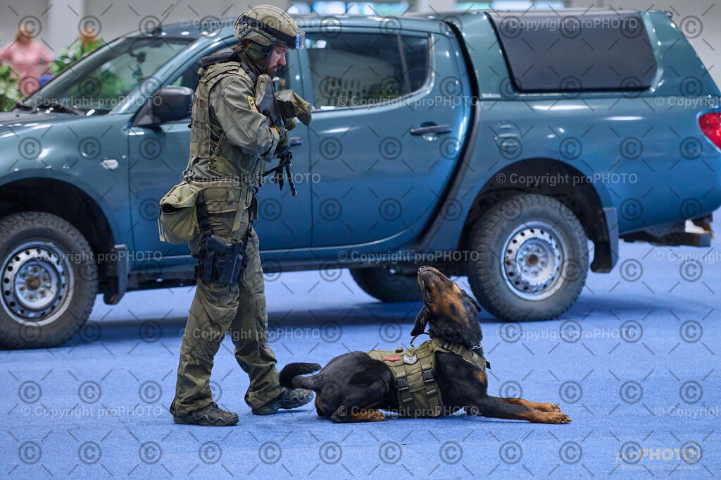 202406_ÖKV-IHA-Tulln24_DSC_3565 | proPHOTO - Realisiert mit Pictrs.com