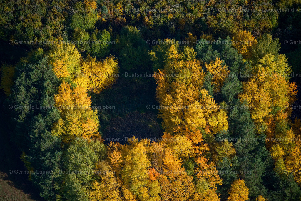 3294445 | Herbstbäume Ldkr Forchheim
