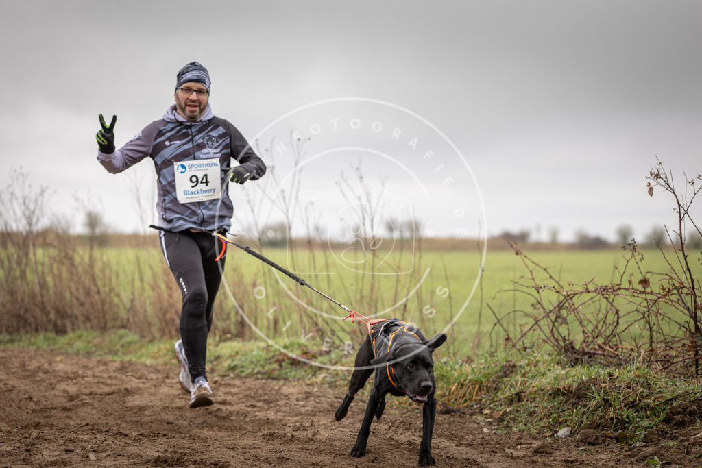 DV3A0068 | Hundefotografie, Tierfotograf, Pfotenfotografie, Fotoshooting Hund, Hunde Portrait, Hundesport, Hundeportraits, Heideshooting, Hunde, Sportfotograf, Hundefotograf, Turnierhundsport, THS,  - Realisiert mit Pictrs.com