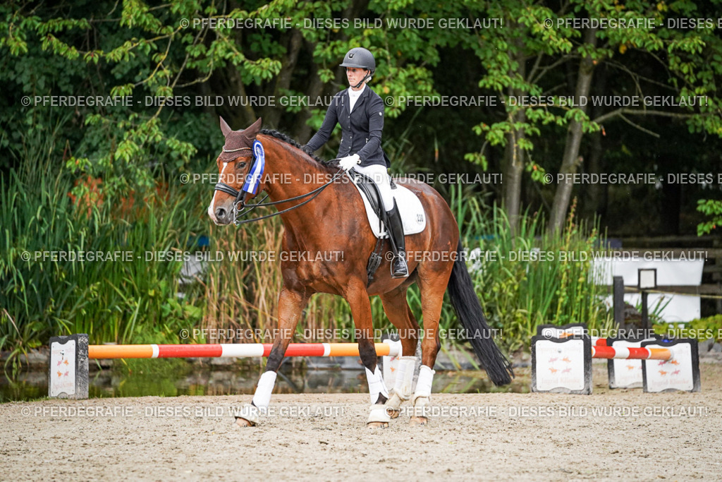 DSC00056 | Pferdegrafie