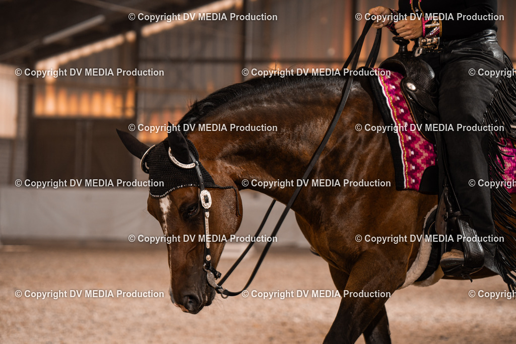 ZH100703 | dv-media-shop - Realisiert mit Pictrs.com