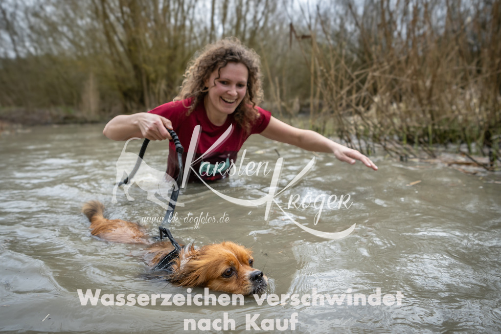 1502_ZZ91807 | kk-dogfotos