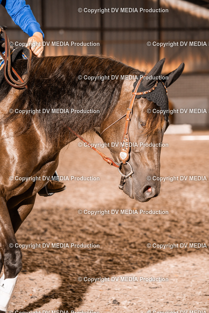 ZH100393 | dv-media-shop - Realisiert mit Pictrs.com