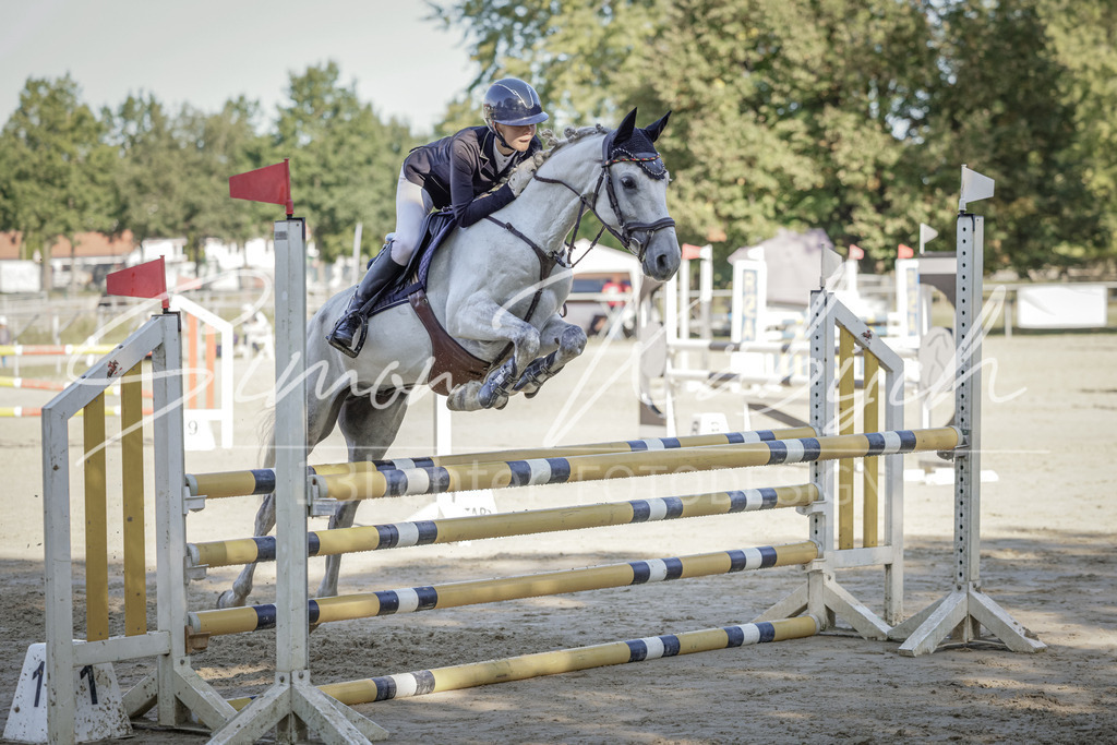 20250906-_3LI3262 | Tierfotografie Pferde, Hunde, Katzen, Haustiere.
Turnierfotografie Reitturniere, Reiten, Springreiten, Dressur in Hanau, dem Main-Kinzig-Kreis und dem Rhein-Main- Gebiet um Frankfurt