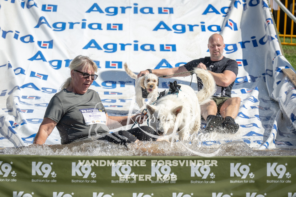 1136_ZZ93073 | kk-dogfotos