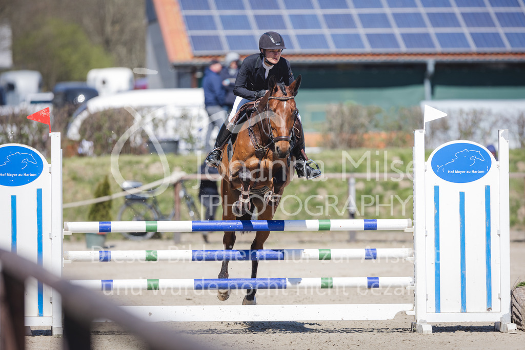 220416_3_A-Springen2-448 | Frühlingsfest der Pferde
Herford
16.April 2022
03/2 Sprigprüfung mit steigenden Anforderungen Kl. A** geschlossen 44-481 RLP