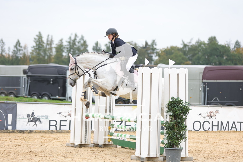 0P6A2358 | Willkommen bei Brunnmayr - Design & Fotografie – Ihrem Spezialisten für Reitturniere und Pferdeveranstaltungen in Oberösterreich, Salzburg und Bayern! Seit über 17 Jahren sind wir leidenschaftlich dabei.