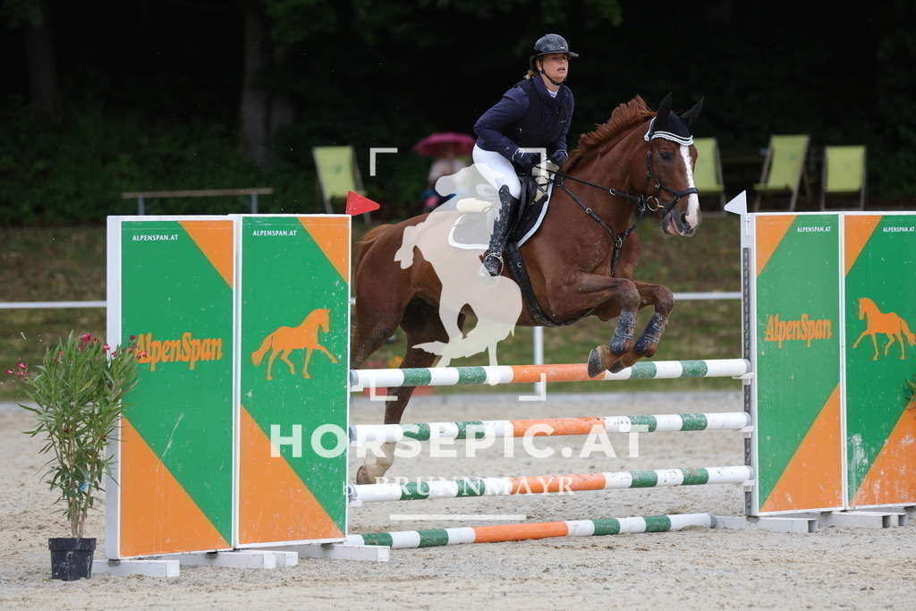 0P6A3838 | Willkommen bei Brunnmayr - Design & Fotografie – Ihrem Spezialisten für Reitturniere und Pferdeveranstaltungen in Oberösterreich, Salzburg und Bayern! Seit über 17 Jahren sind wir leidenschaftlich dabei.