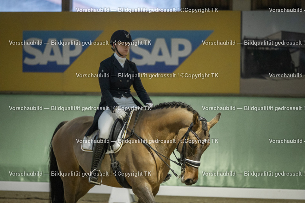 _D5A7190 | Emotionale Pferde- & People-Fotografie rund um Heidelberg, Leimen & Umgebung. Natürliche Fotos von Pferd, Mensch & Familie. Jetzt Termin sichern!