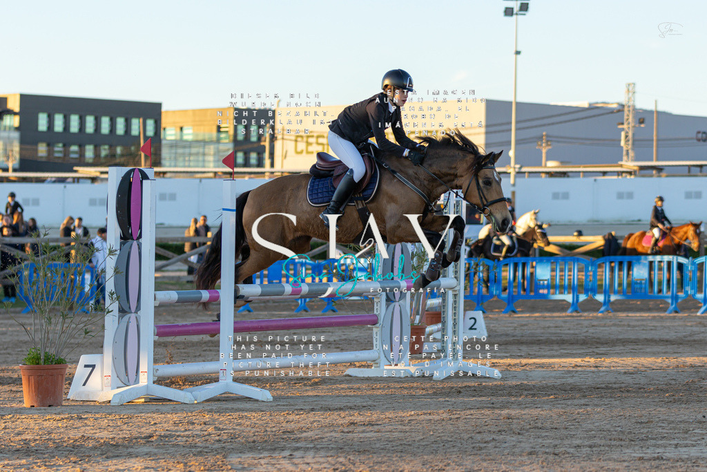 IMG_6050 | s-jay-photography - Realisiert mit Pictrs.com