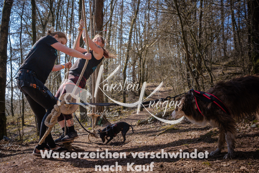 1128_ZZ98293 | kk-dogfotos