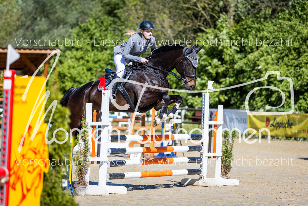 Donop24-A2Spr-037 | MomenTaufnahmen Pferdesportfotos